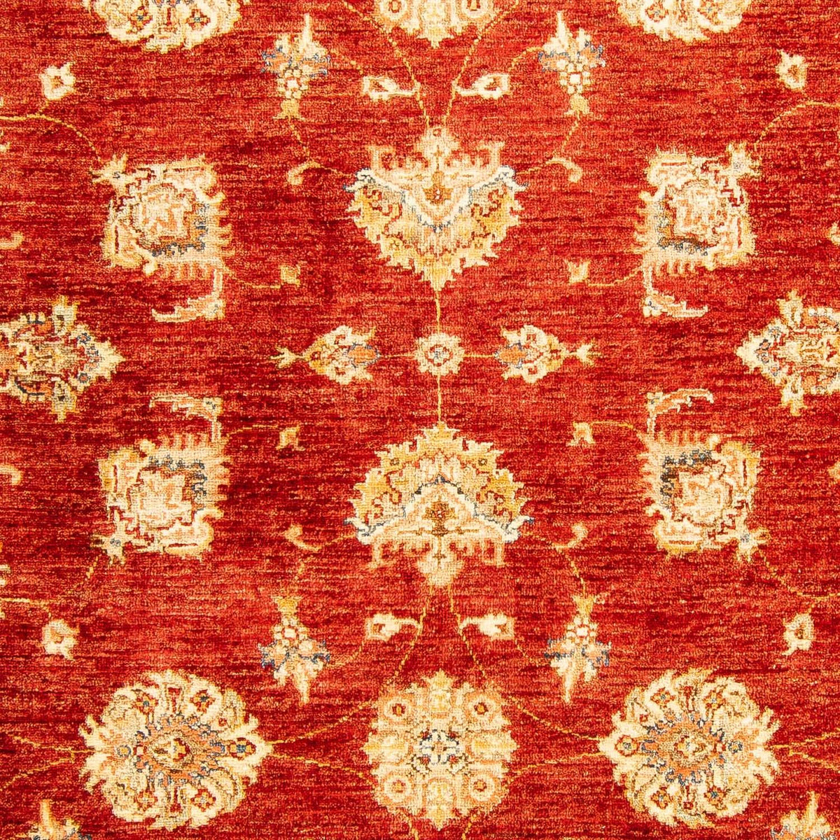 Ziegler tapijt - 207 x 152 cm - donkerrood