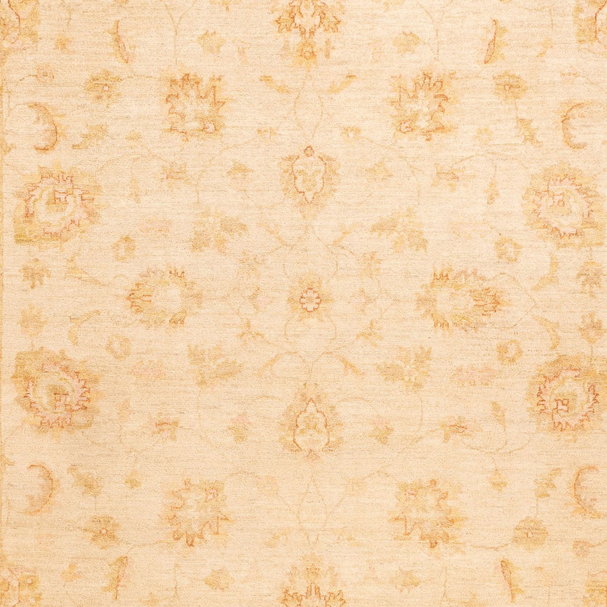 Ziegler tapijt - 350 x 253 cm - beige