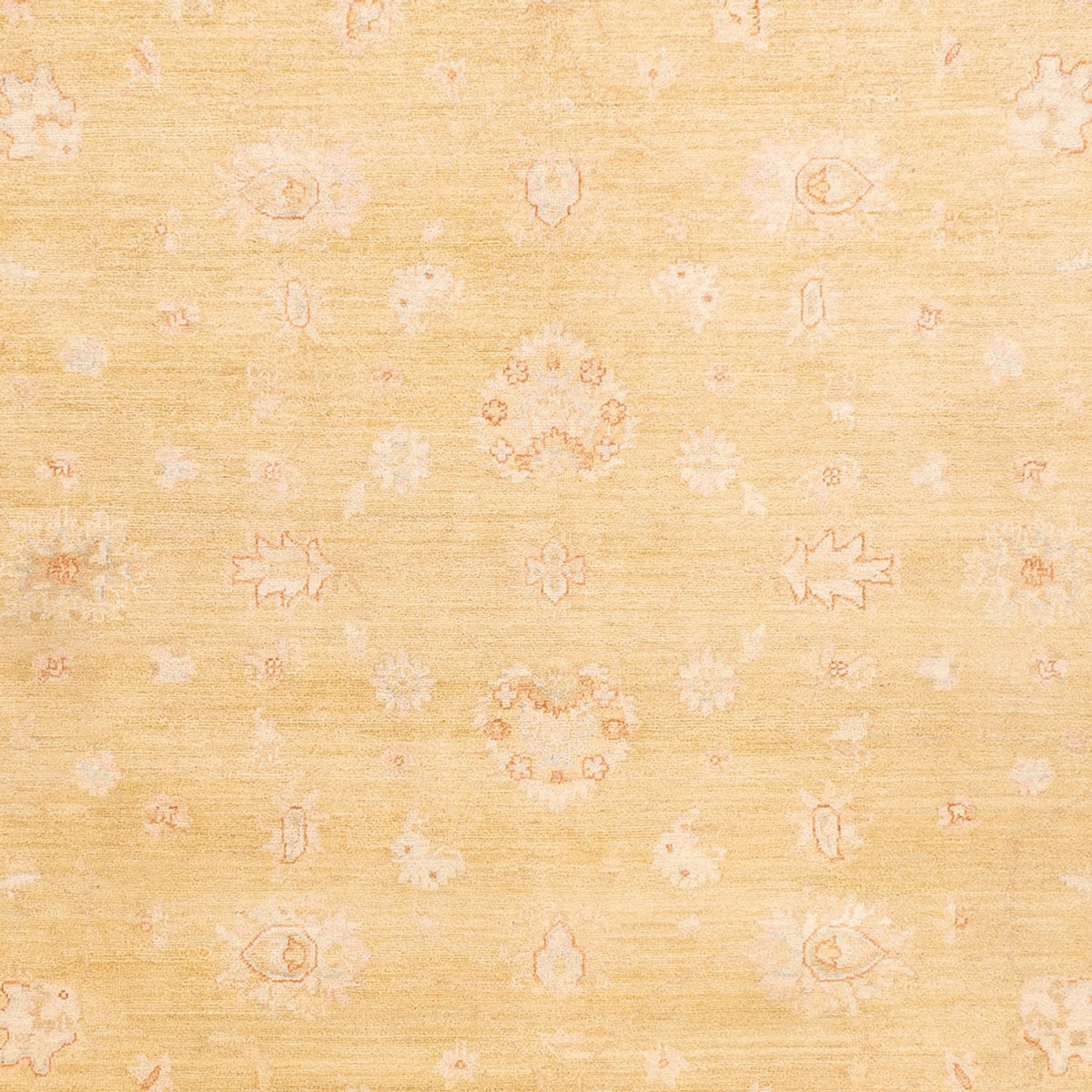 Ziegler tapijt - 350 x 255 cm - beige