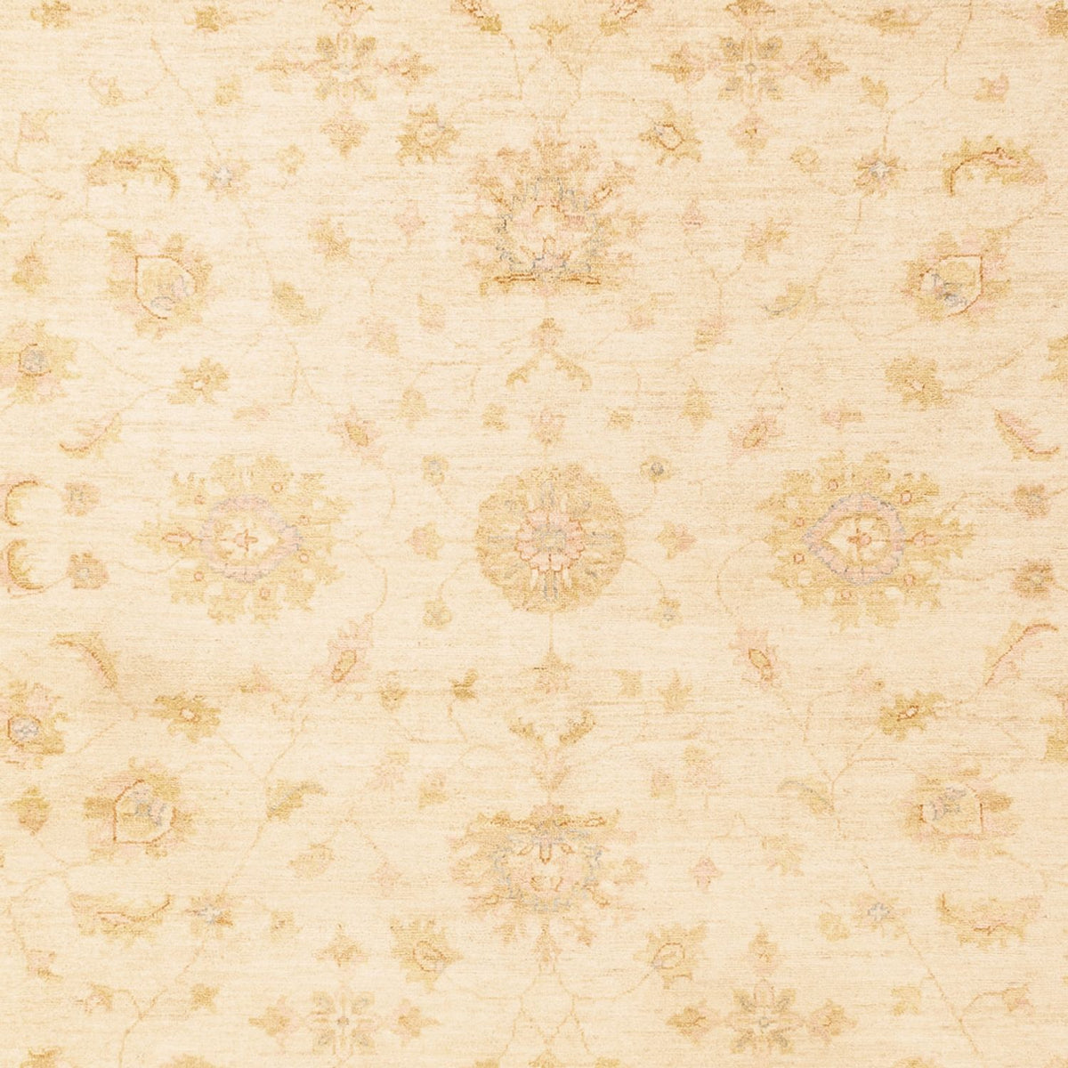 Ziegler tapijt - 344 x 254 cm - beige