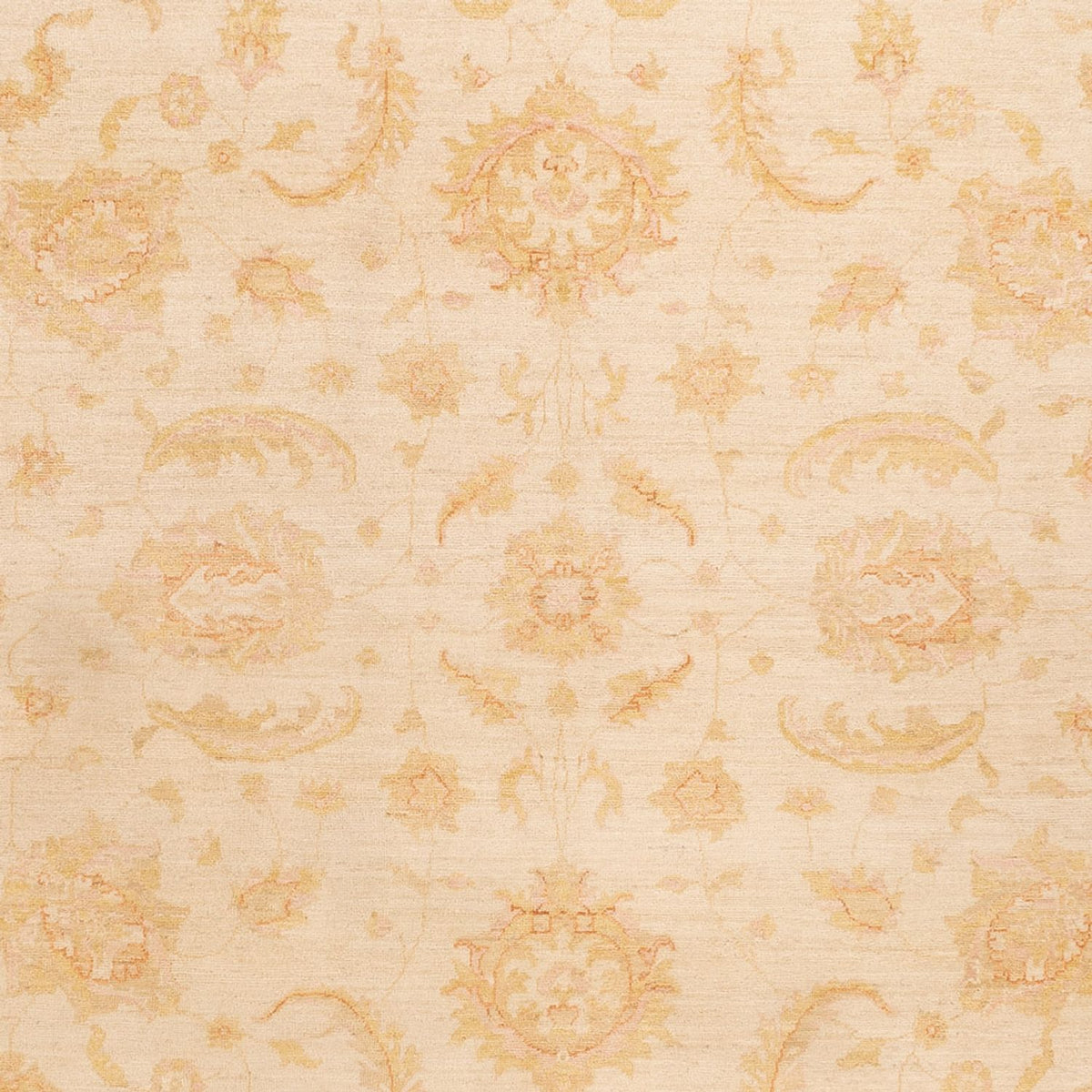 Ziegler tapijt - 342 x 256 cm - beige