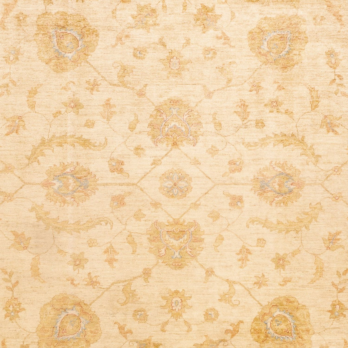 Ziegler tapijt - 345 x 255 cm - beige