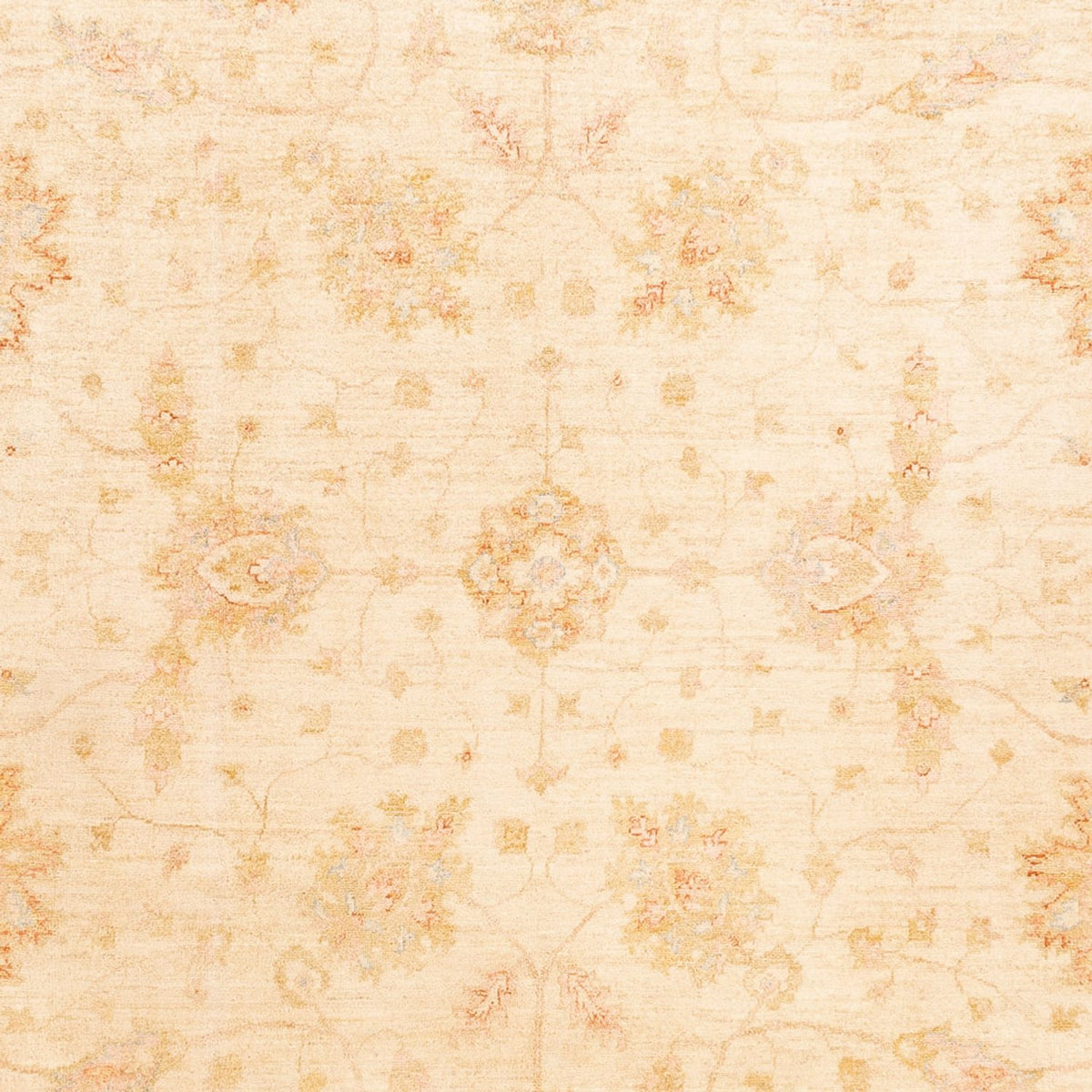 Ziegler tapijt - 326 x 244 cm - beige