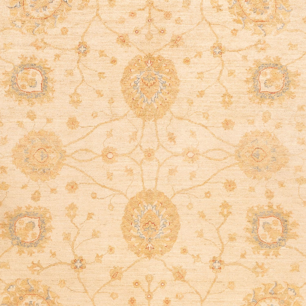 Ziegler tapijt - 325 x 250 cm - beige