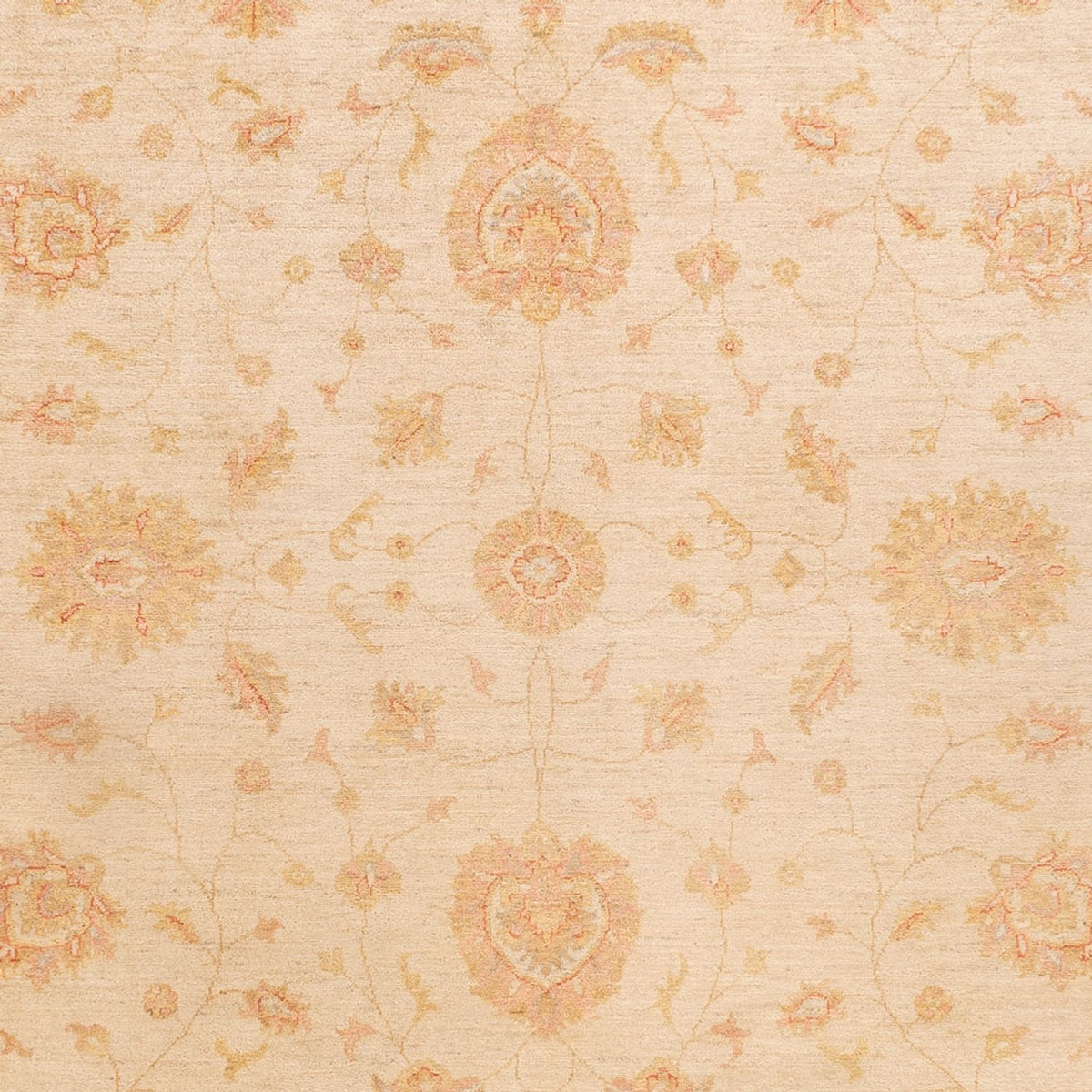 Ziegler tapijt - 346 x 257 cm - beige