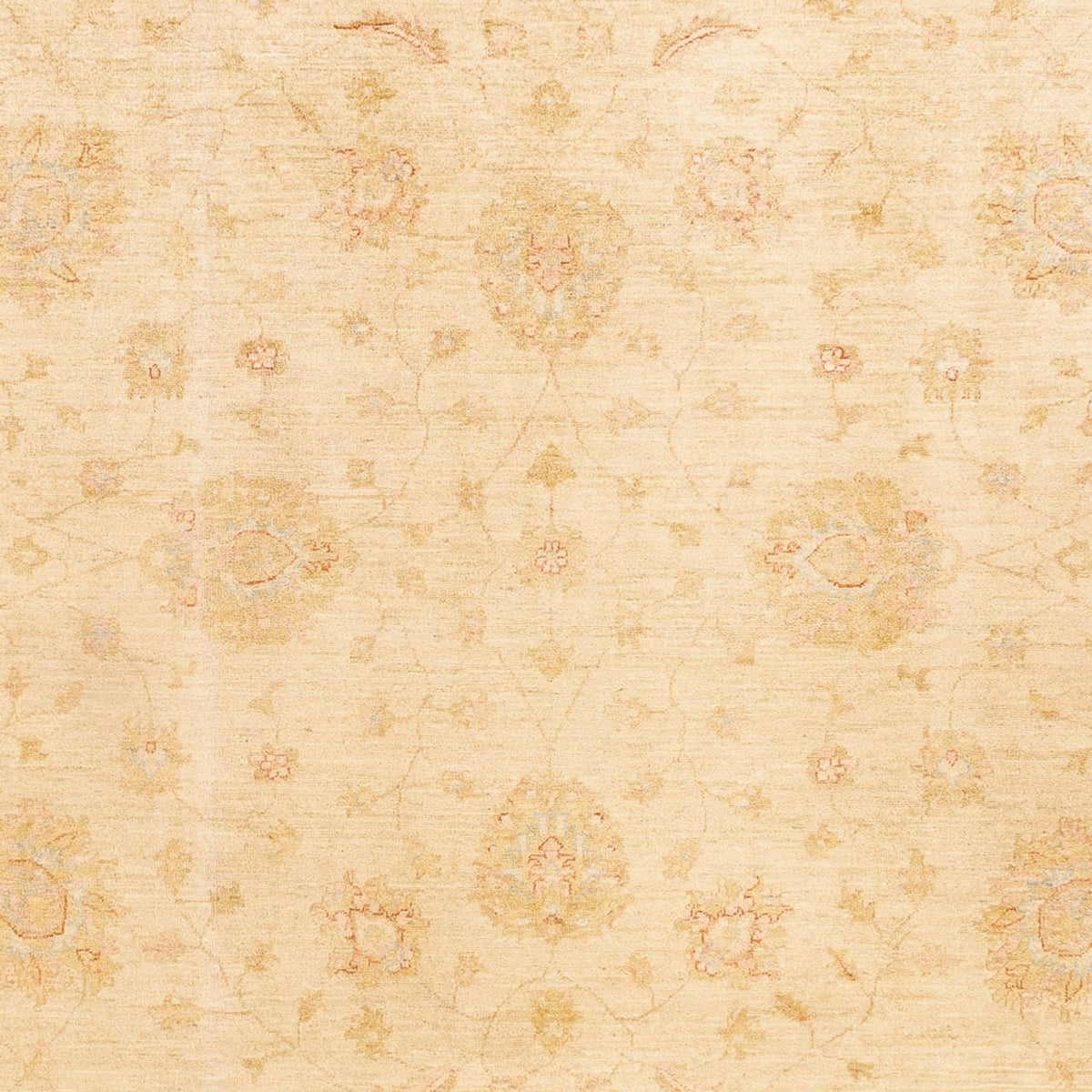 Ziegler tapijt - 348 x 257 cm - beige