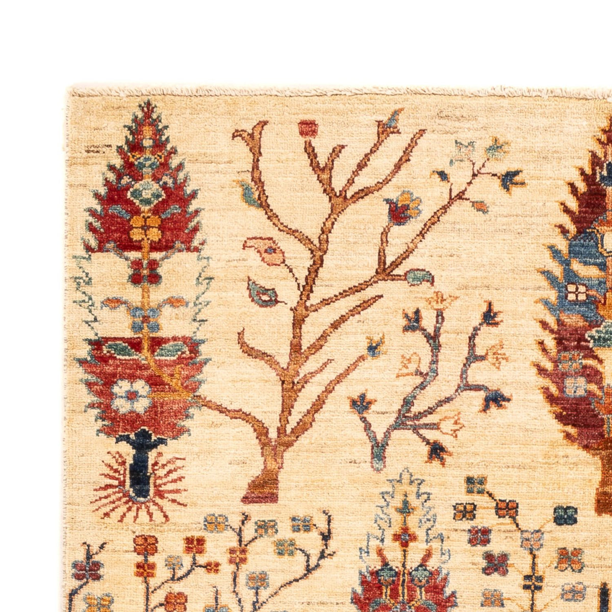 Ziegler Tapijt - Ariana - 178 x 125 cm - beige