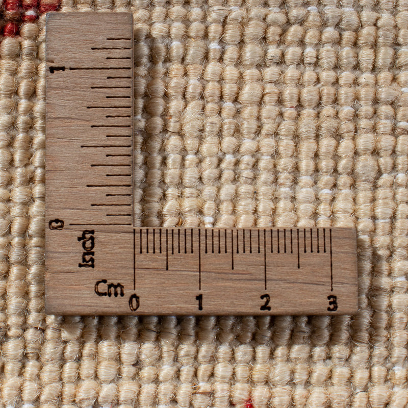 Ziegler Tapijt - Ariana - 299 x 209 cm - veelkleurig