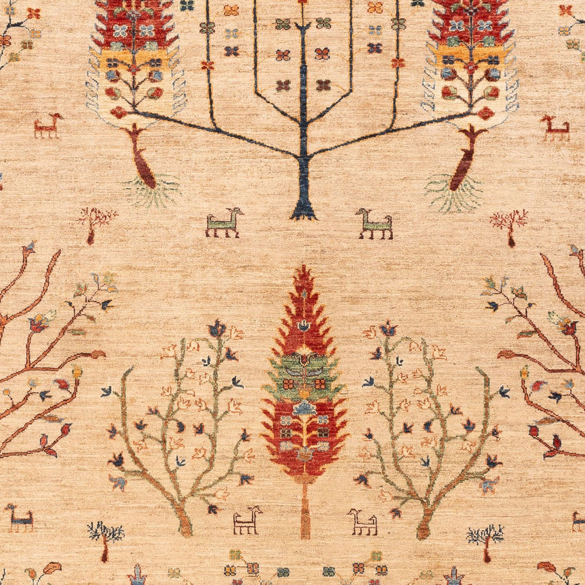 Ziegler Tapijt - Ariana - 312 x 212 cm - veelkleurig