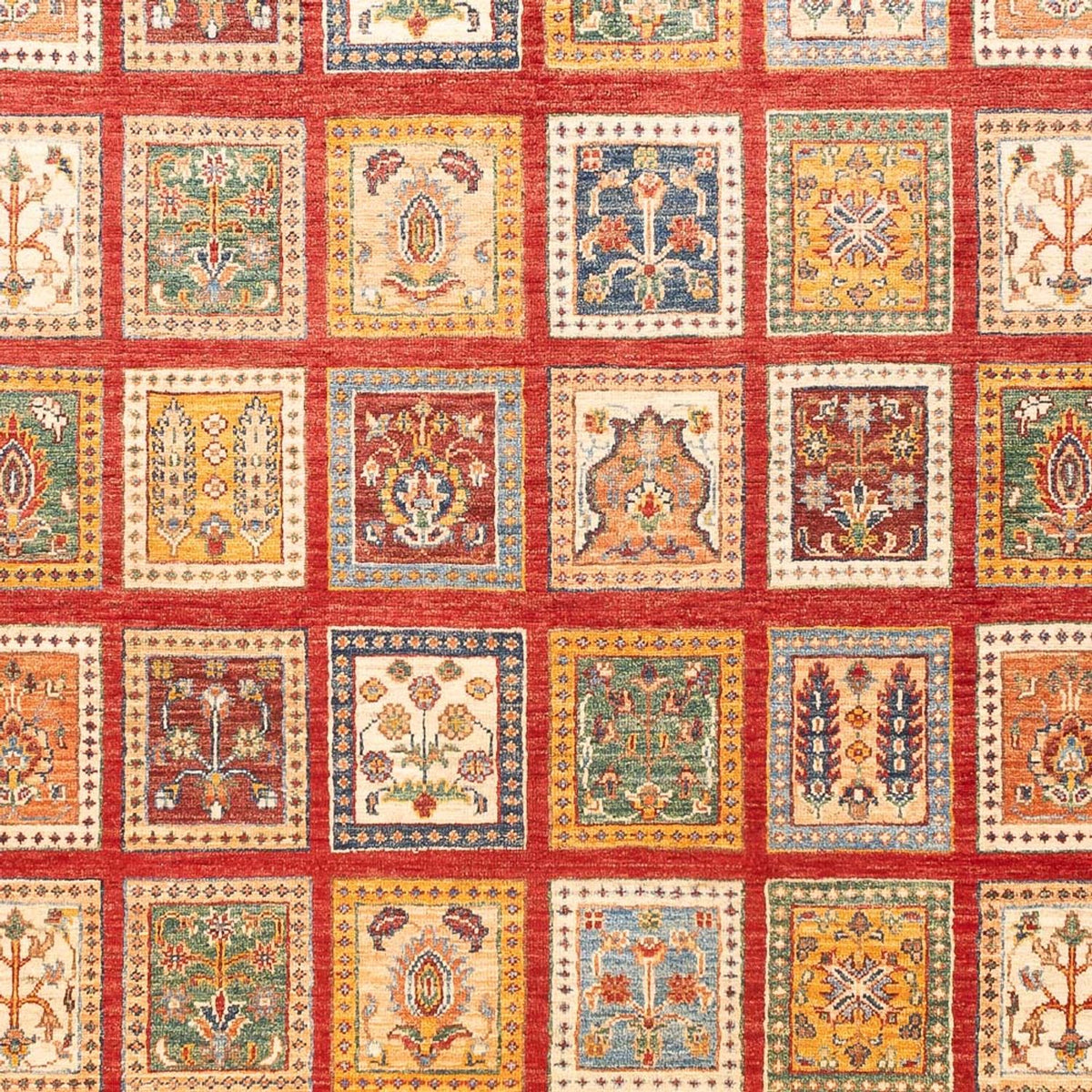 Ziegler Tapijt - Bakhtiari - 239 x 169 cm - veelkleurig