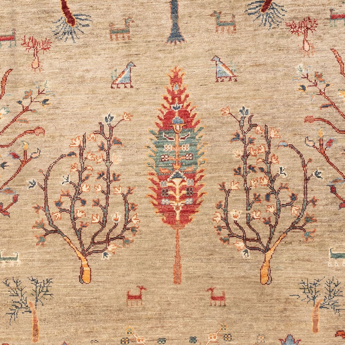 Ziegler Tapijt - Ariana - 237 x 172 cm - lichtgrijs