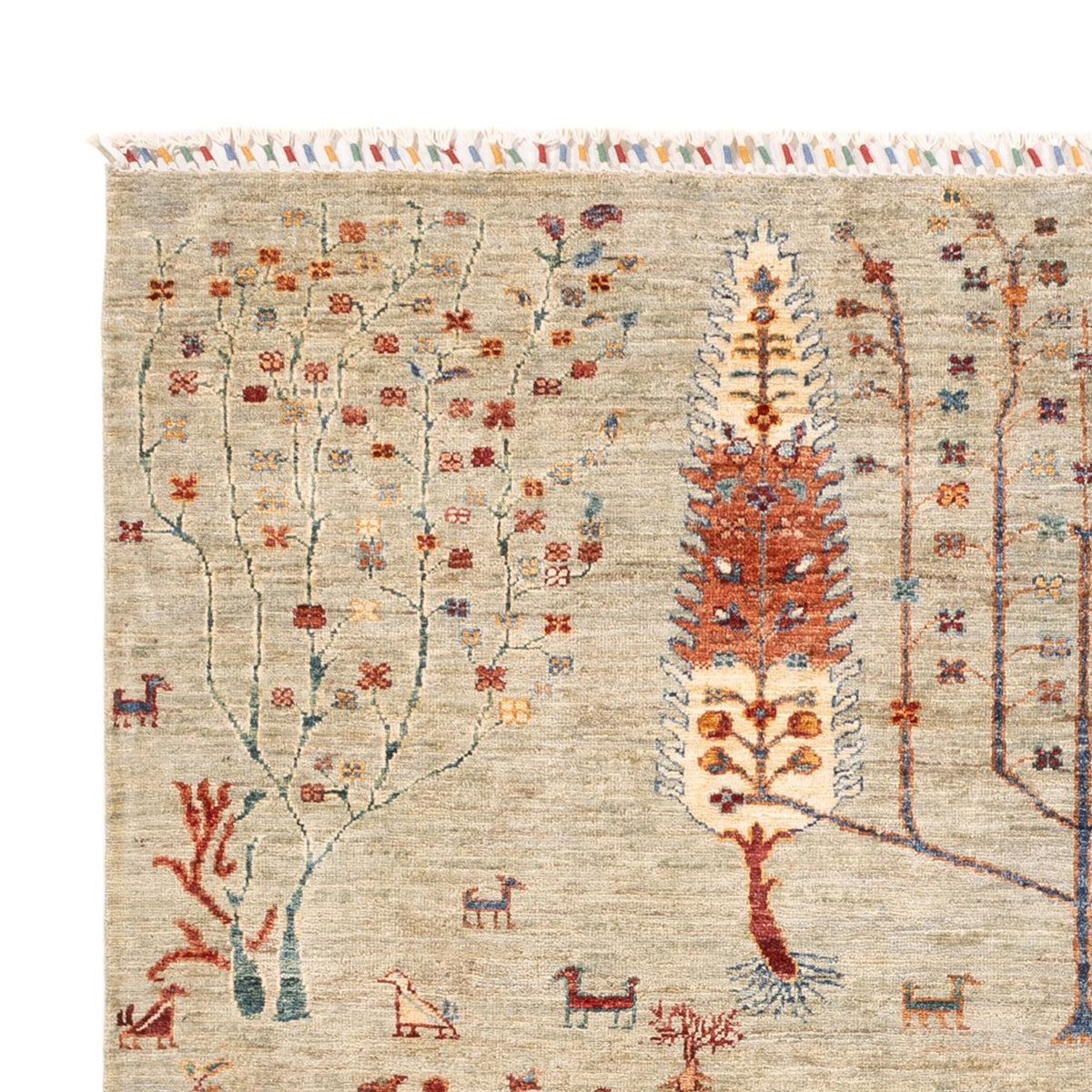 Ziegler Tapijt - Ariana - 240 x 173 cm - lichtgrijs