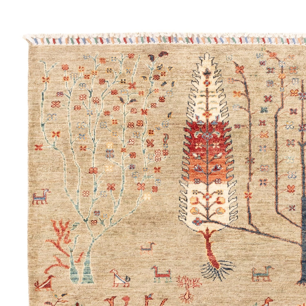 Ziegler Tapijt - Ariana - 235 x 172 cm - lichtgrijs