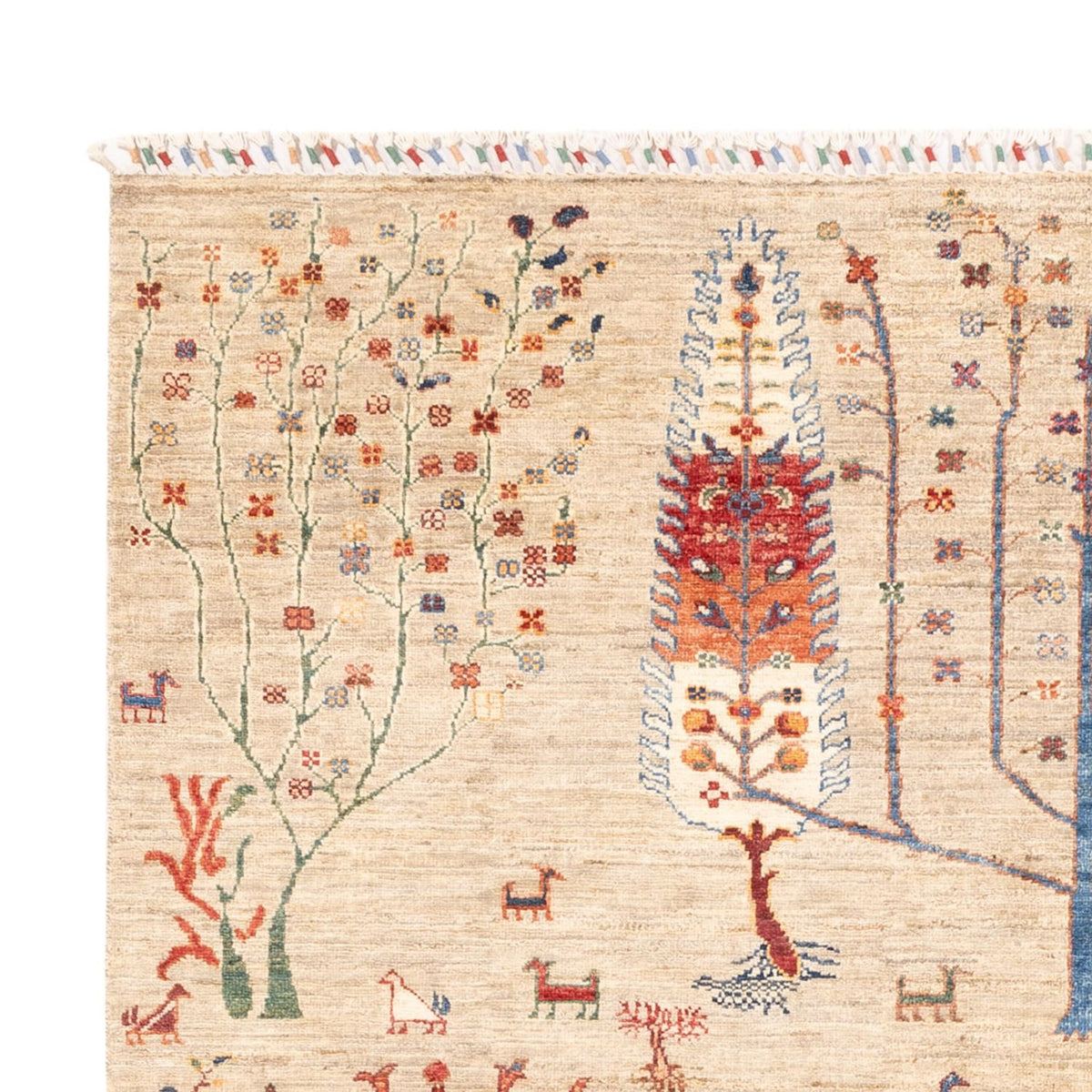 Ziegler Tapijt - Ariana - 232 x 168 cm - lichtgrijs