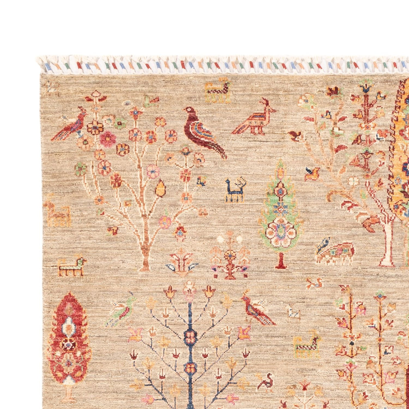 Ariana Tapijt 242x169cm - Oosters Tapijt