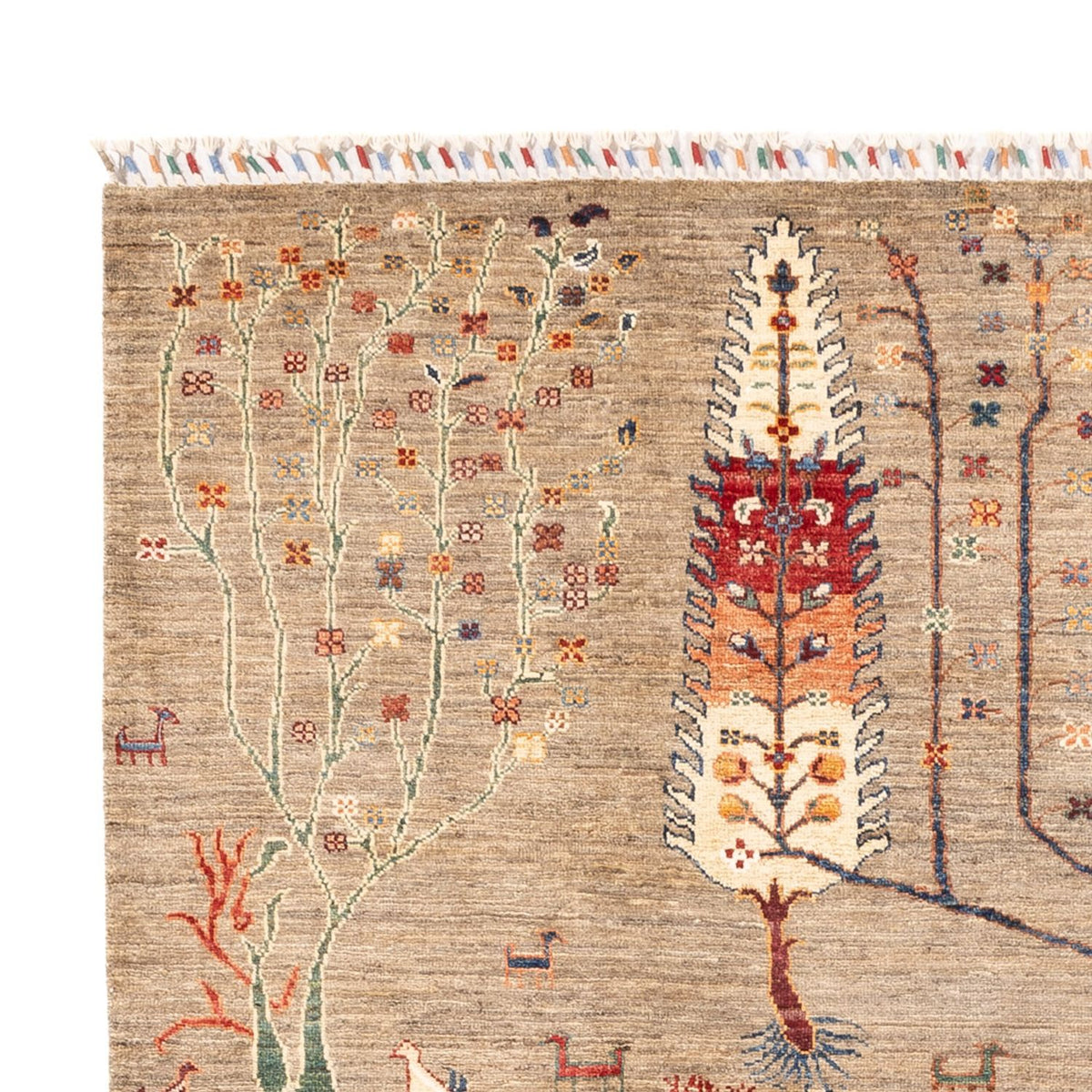 Ziegler Tapijt - Ariana - 240 x 169 cm - donker beige