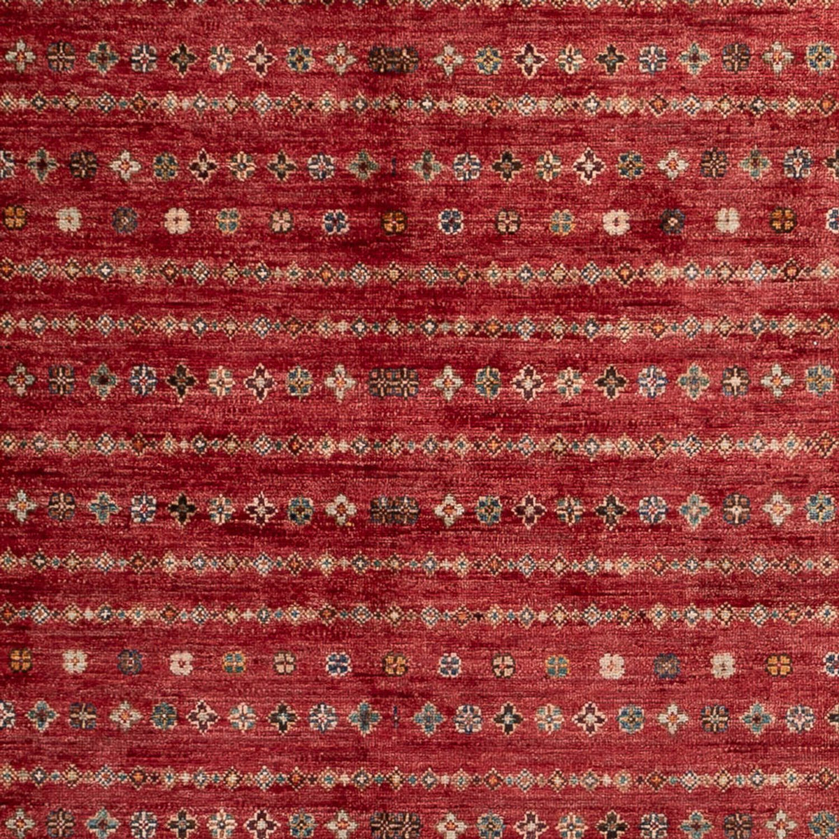 Ziegler Tapijt - Shal - 268 x 183 cm - rood