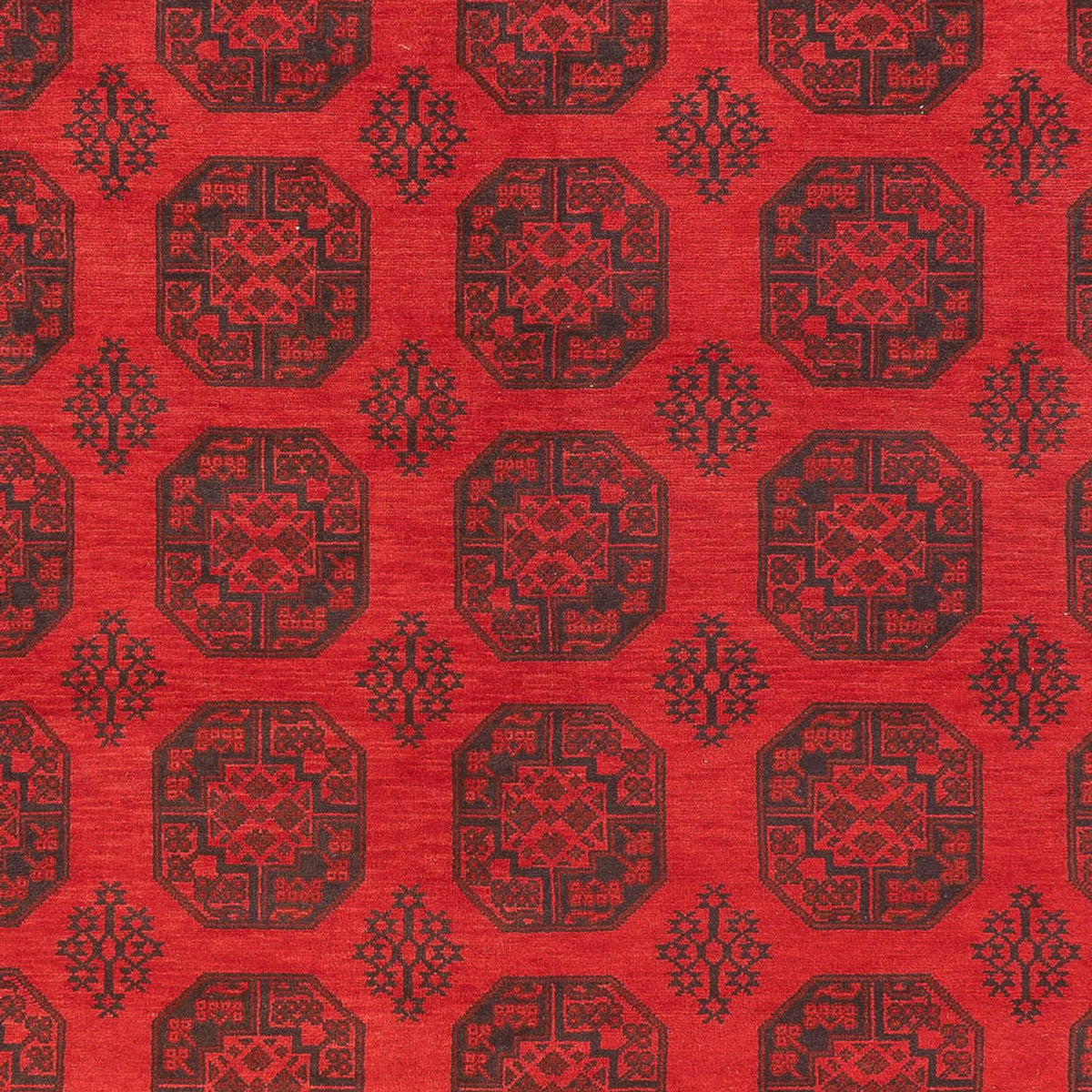 Afghaans tapijt - Filpa - 401 x 309 cm - rood