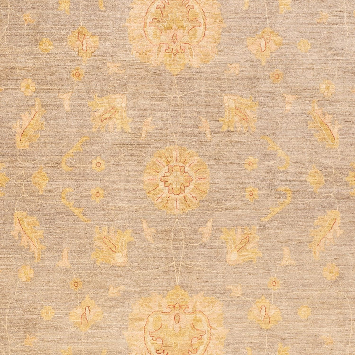 Ziegler tapijt - 397 x 304 cm - donker beige