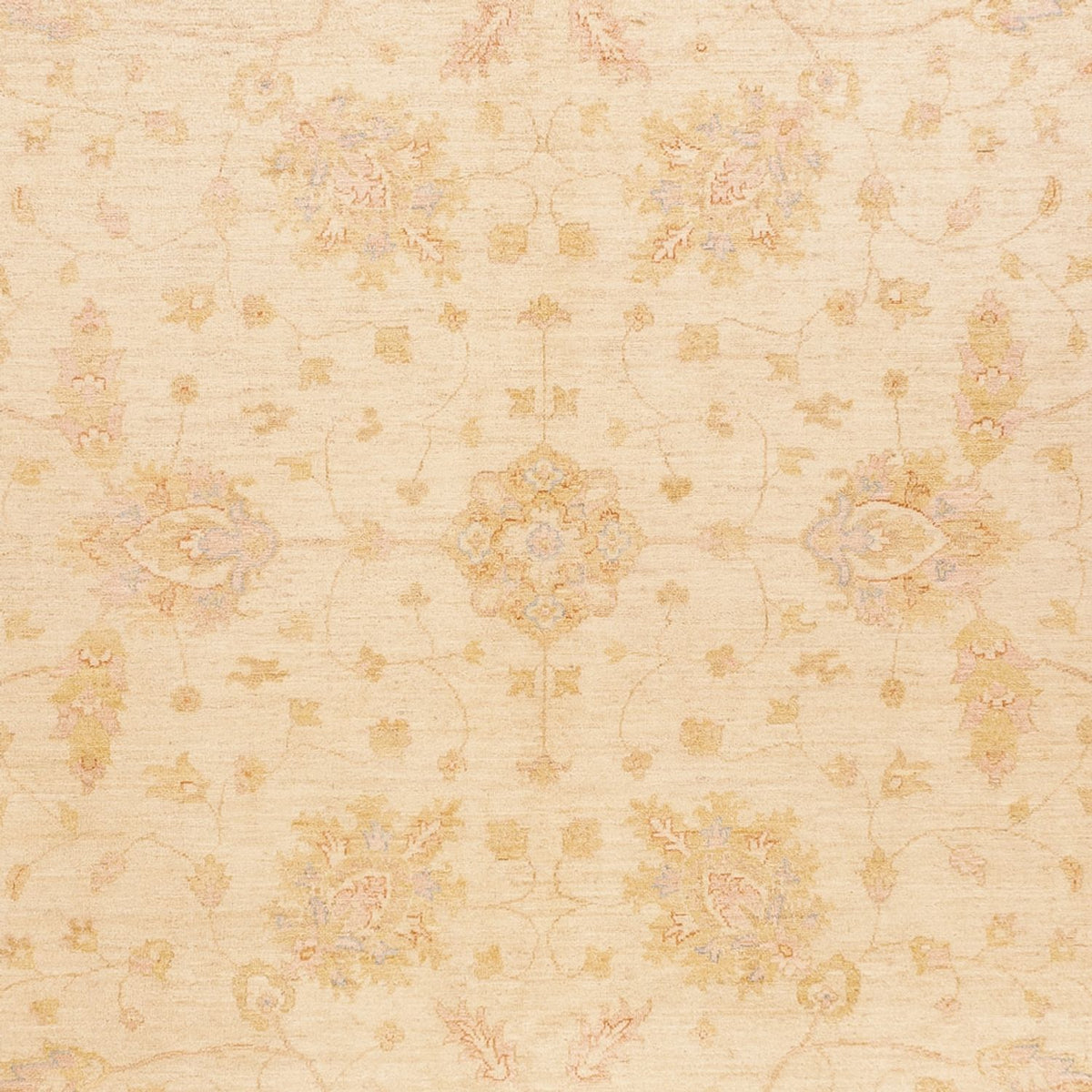 Ziegler tapijt - 394 x 305 cm - beige