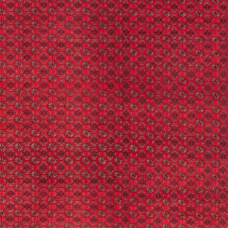 Afghaans tapijt - Koninklijke - 404 x 294 cm - rood