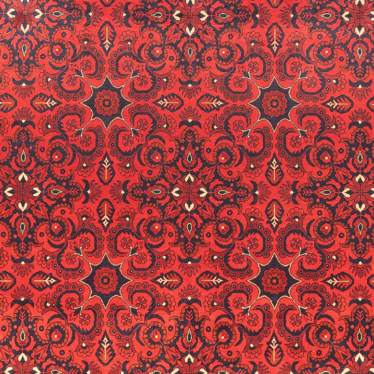 Afghaans tapijt - Kunduz - 379 x 297 cm - rood