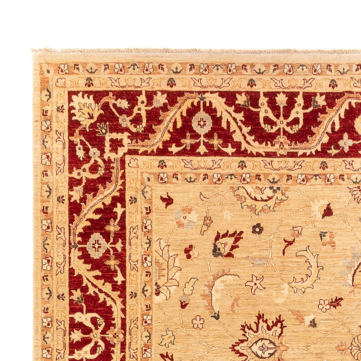 Ziegler tapijt - 383 x 271 cm - beige