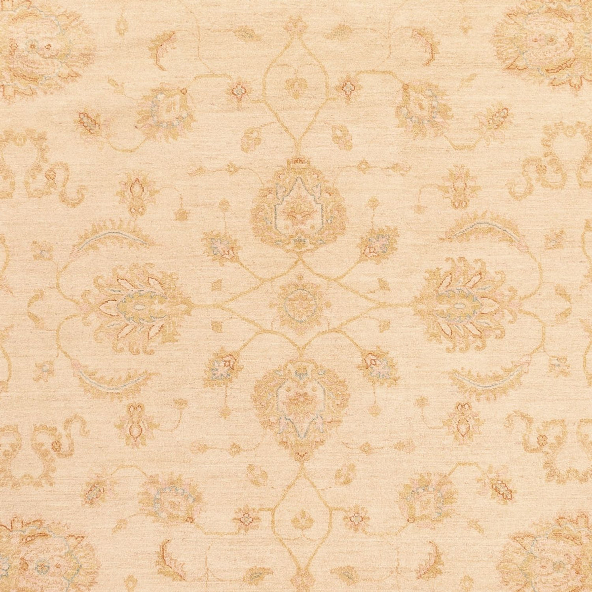 Ziegler tapijt - 364 x 277 cm - beige
