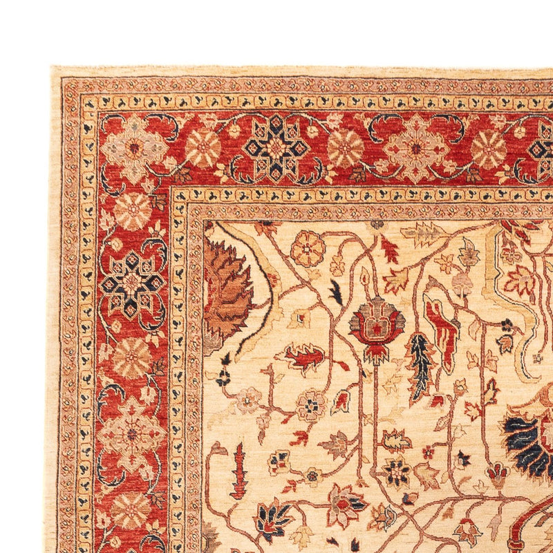 Ziegler tapijt - 365 x 276 cm - beige