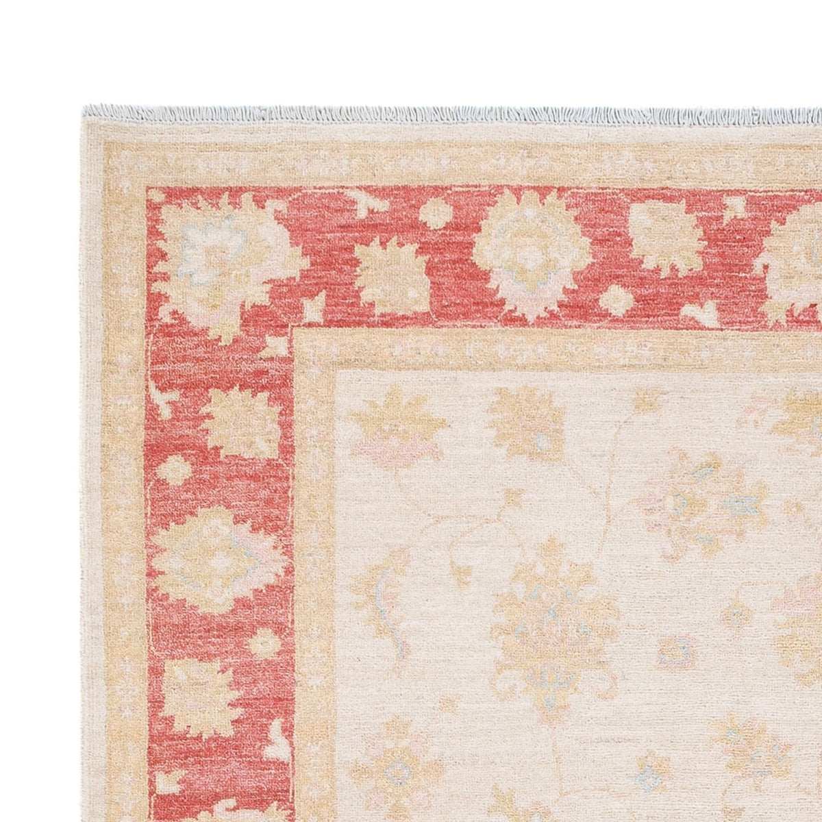 Ziegler tapijt - 240 x 175 cm - crème