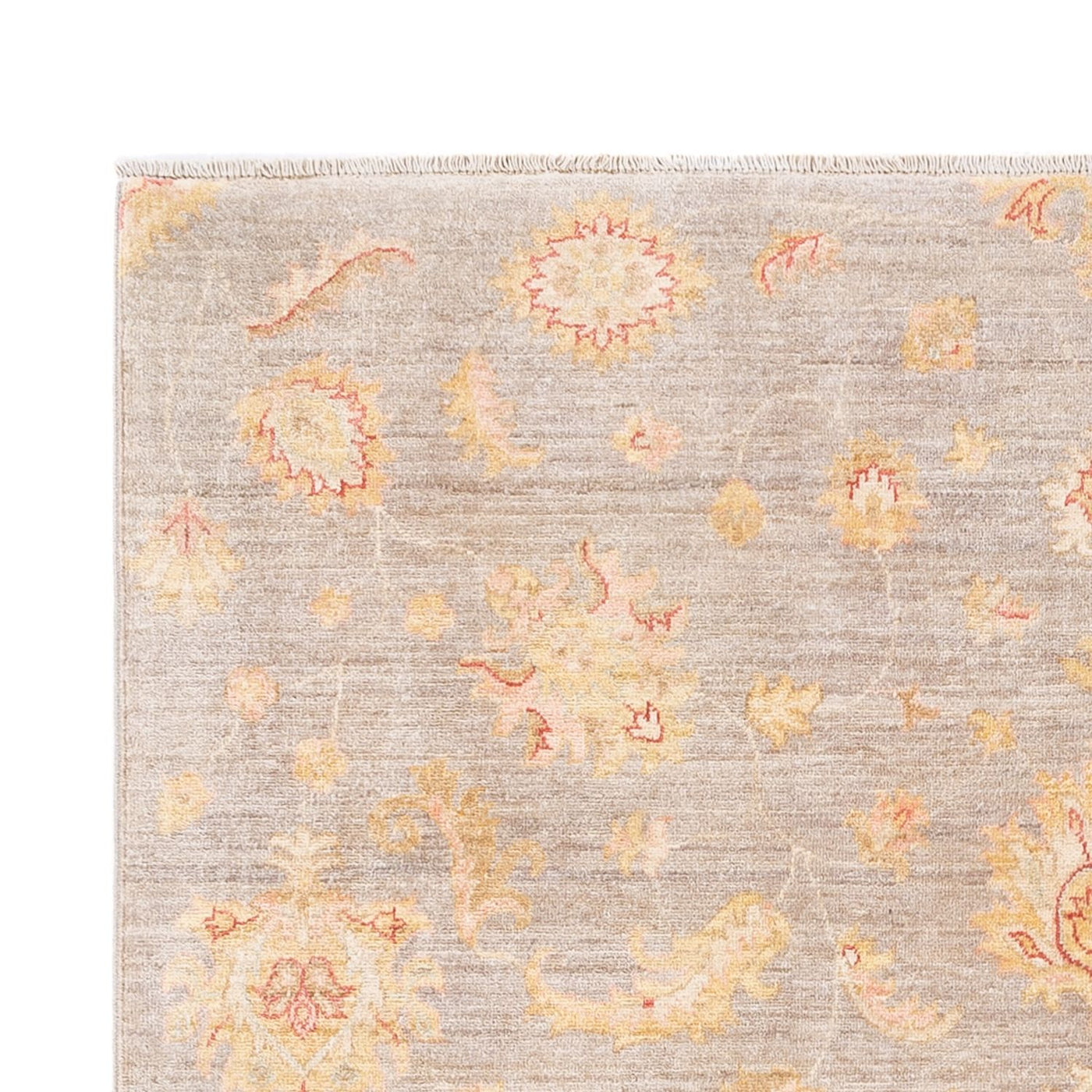 Ariana Tapijt 241x169cm - Oosters Tapijt