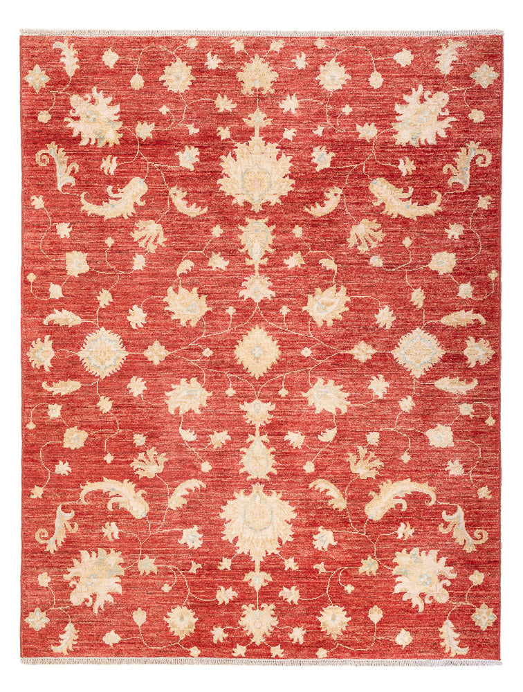 Ziegler tapijt - Modern - 206 x 154 cm - rood