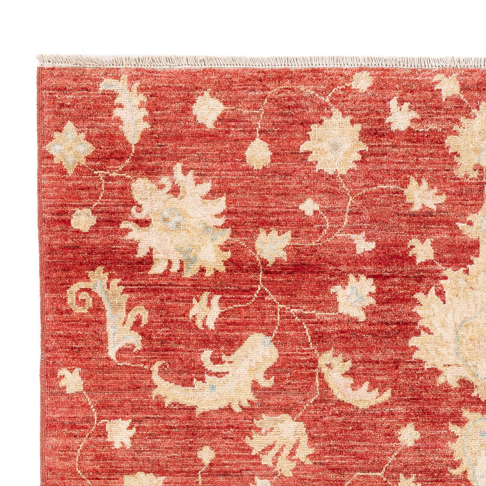Ziegler modern Tapijt 206x154cm - Oosters Tapijt