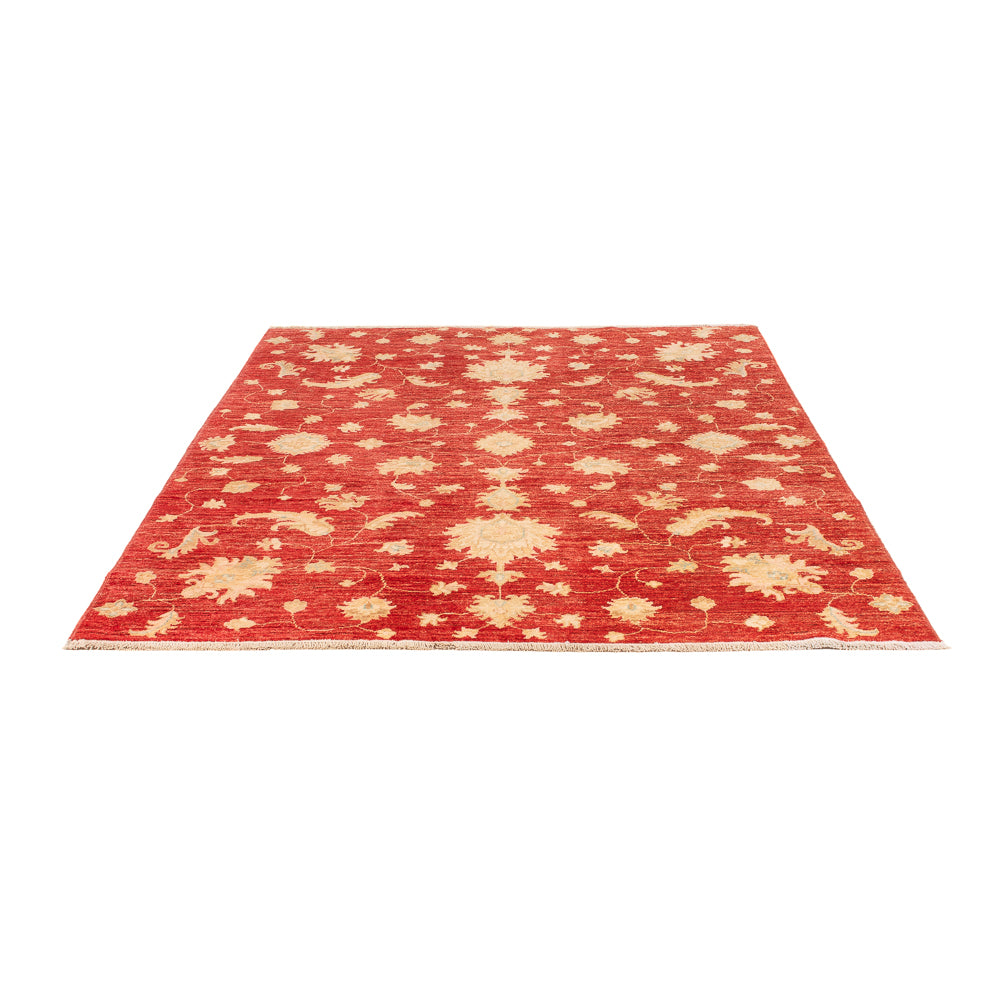 Ziegler tapijt - Modern - 206 x 154 cm - rood