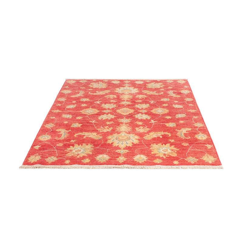 Ziegler tapijt - 180 x 127 cm - rood