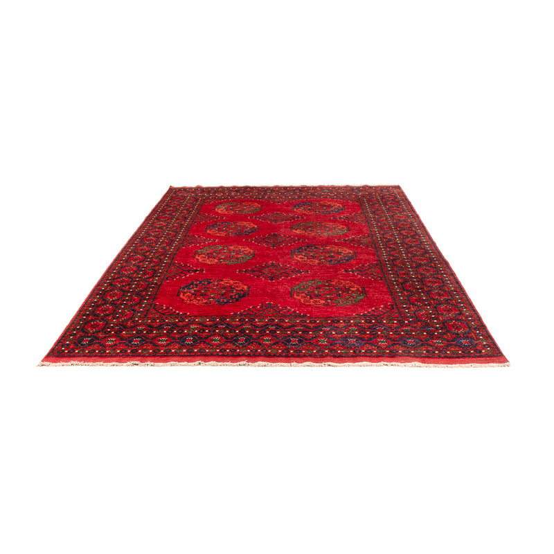 Afghaans tapijt - Kunduz - 312 x 208 cm - rood