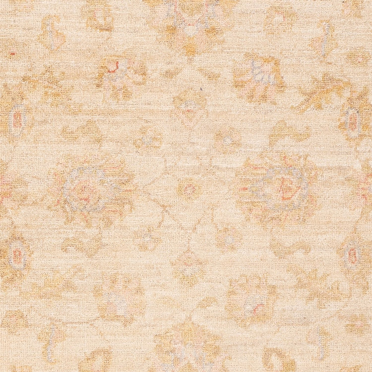 Ziegler tapijt - 150 x 100 cm - beige