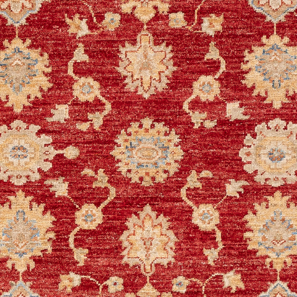 Ziegler tapijt - 143 x 100 cm - rood