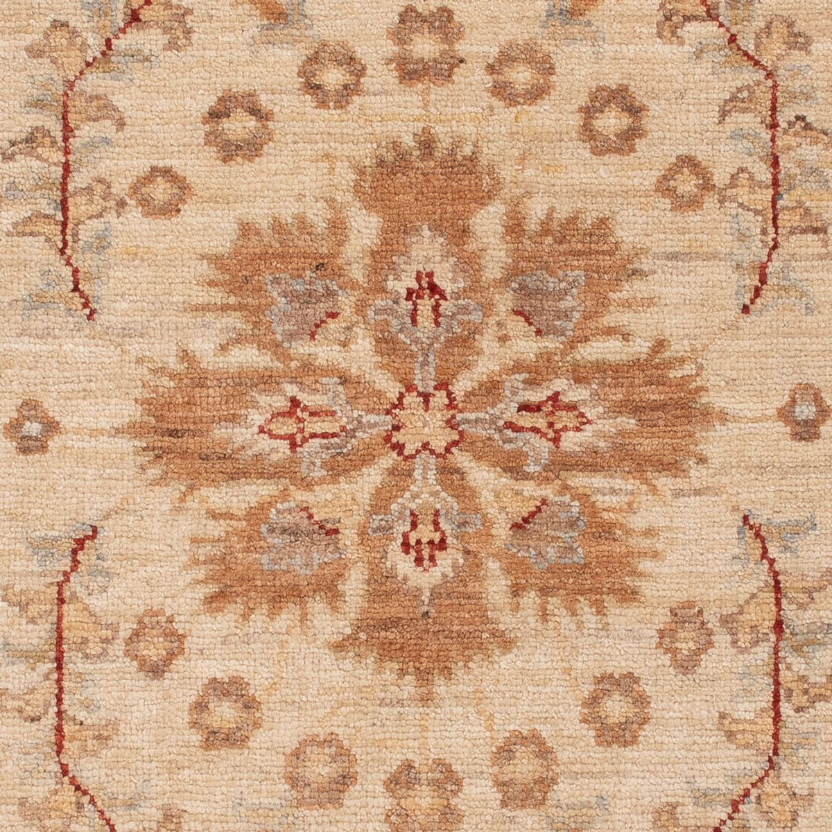 Ziegler tapijt - 144 x 70 cm - beige