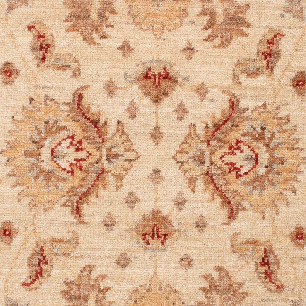 Ziegler tapijt - 142 x 72 cm - beige