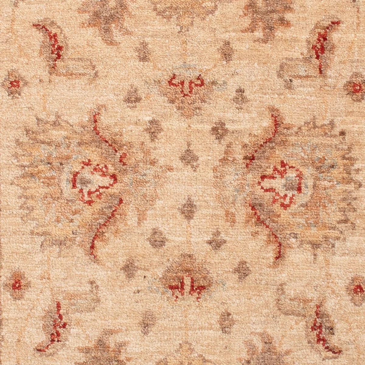 Ziegler tapijt - 149 x 67 cm - beige