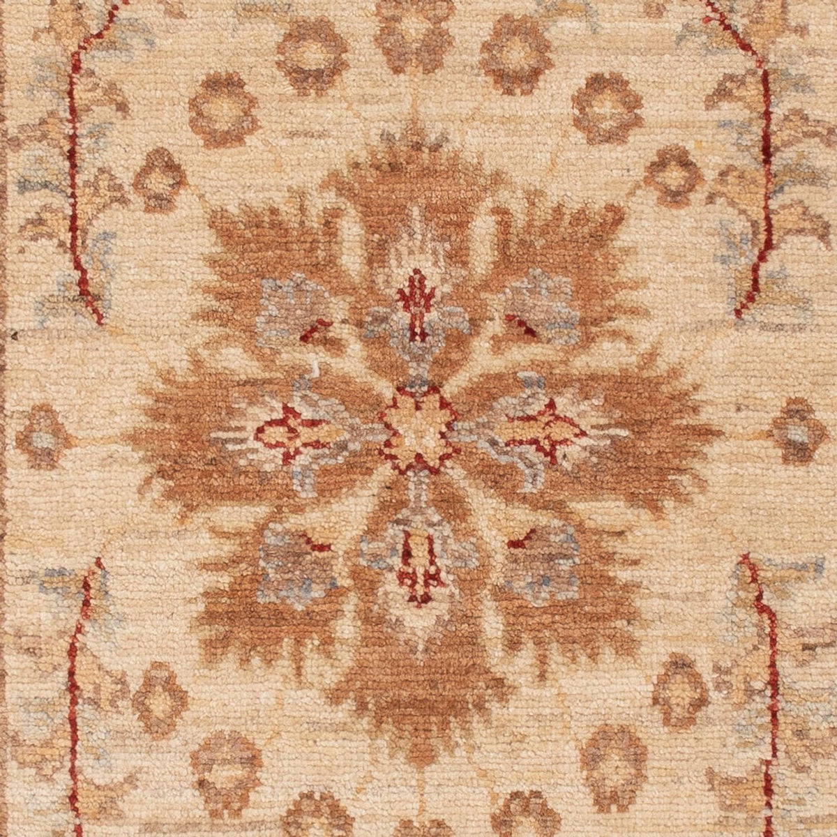 Ziegler tapijt - 145 x 65 cm - beige