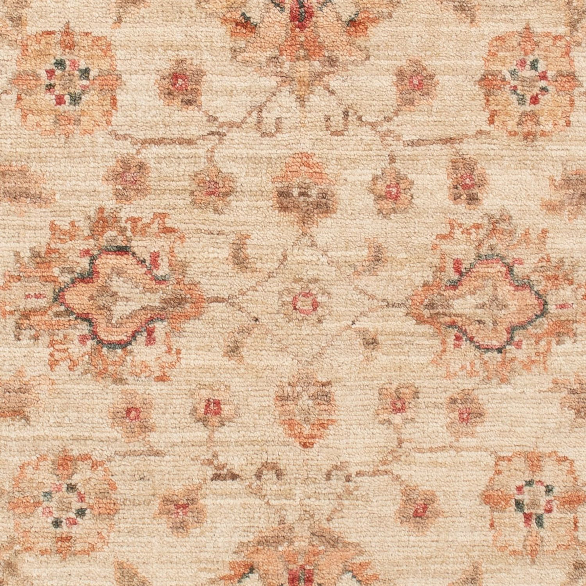 Ziegler tapijt - 120 x 83 cm - beige