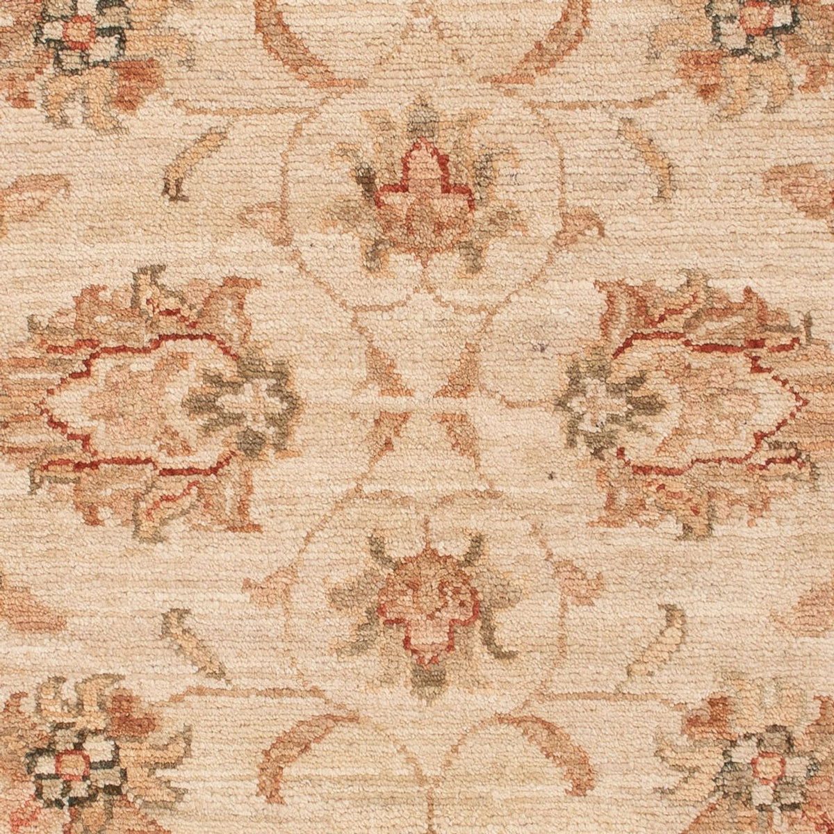 Ziegler tapijt - 118 x 84 cm - beige