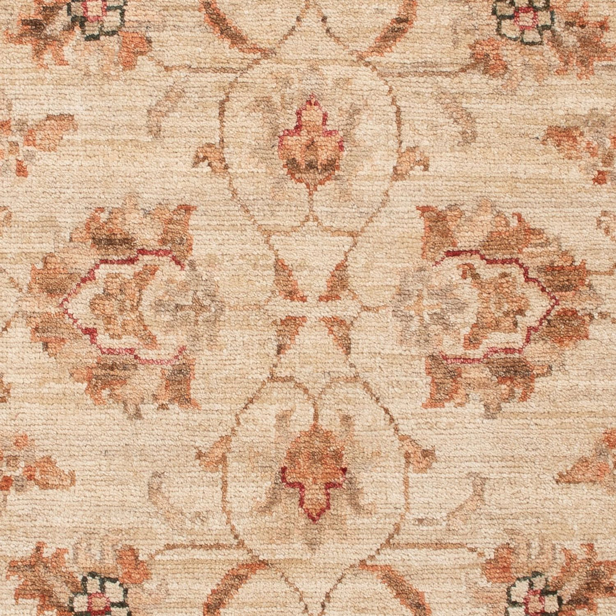Ziegler tapijt - 133 x 80 cm - beige