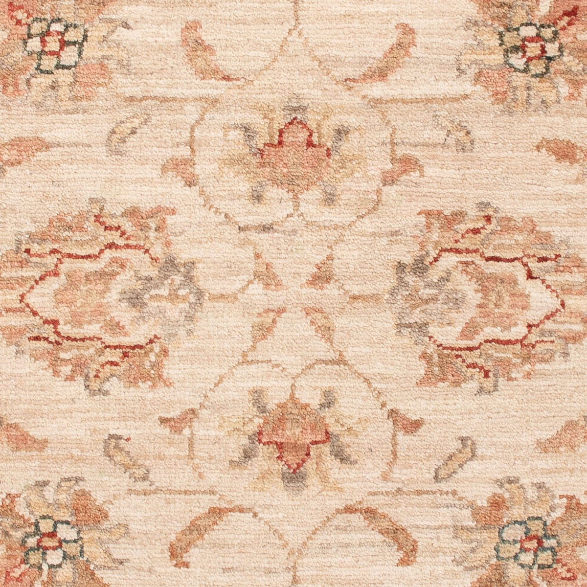 Ziegler tapijt - 120 x 82 cm - beige