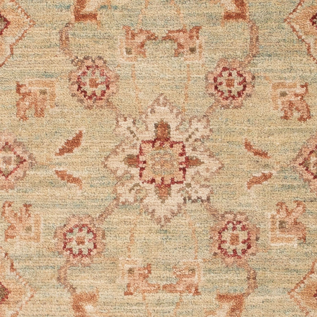 Ziegler tapijt - 105 x 73 cm - beige