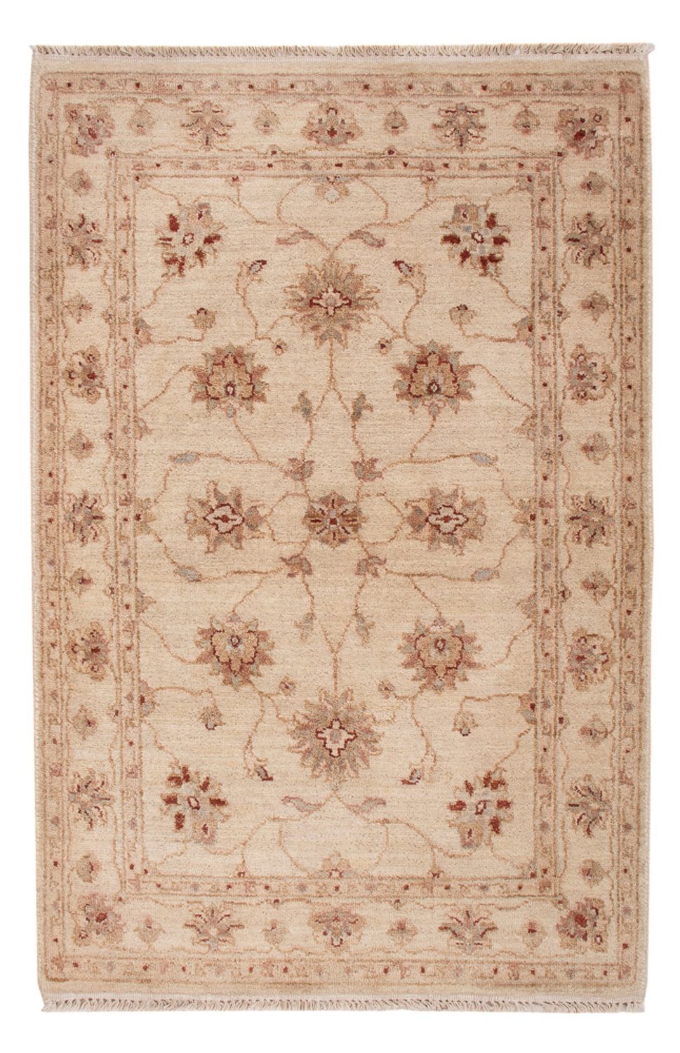 Ziegler tapijt - 120 x 80 cm - beige