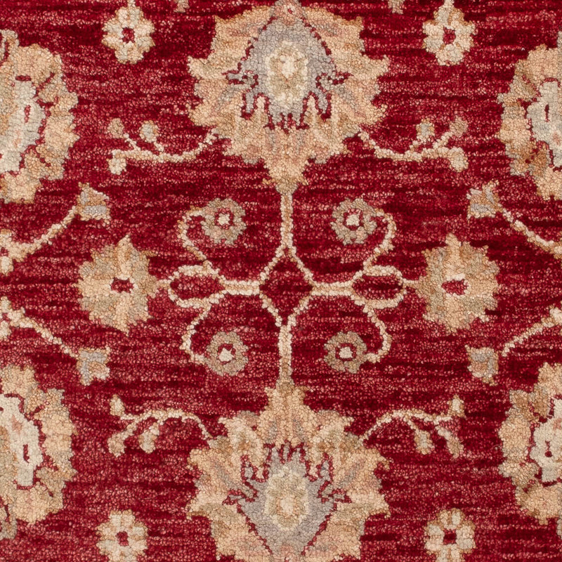 Ziegler tapijt - 120 x 80 cm - rood