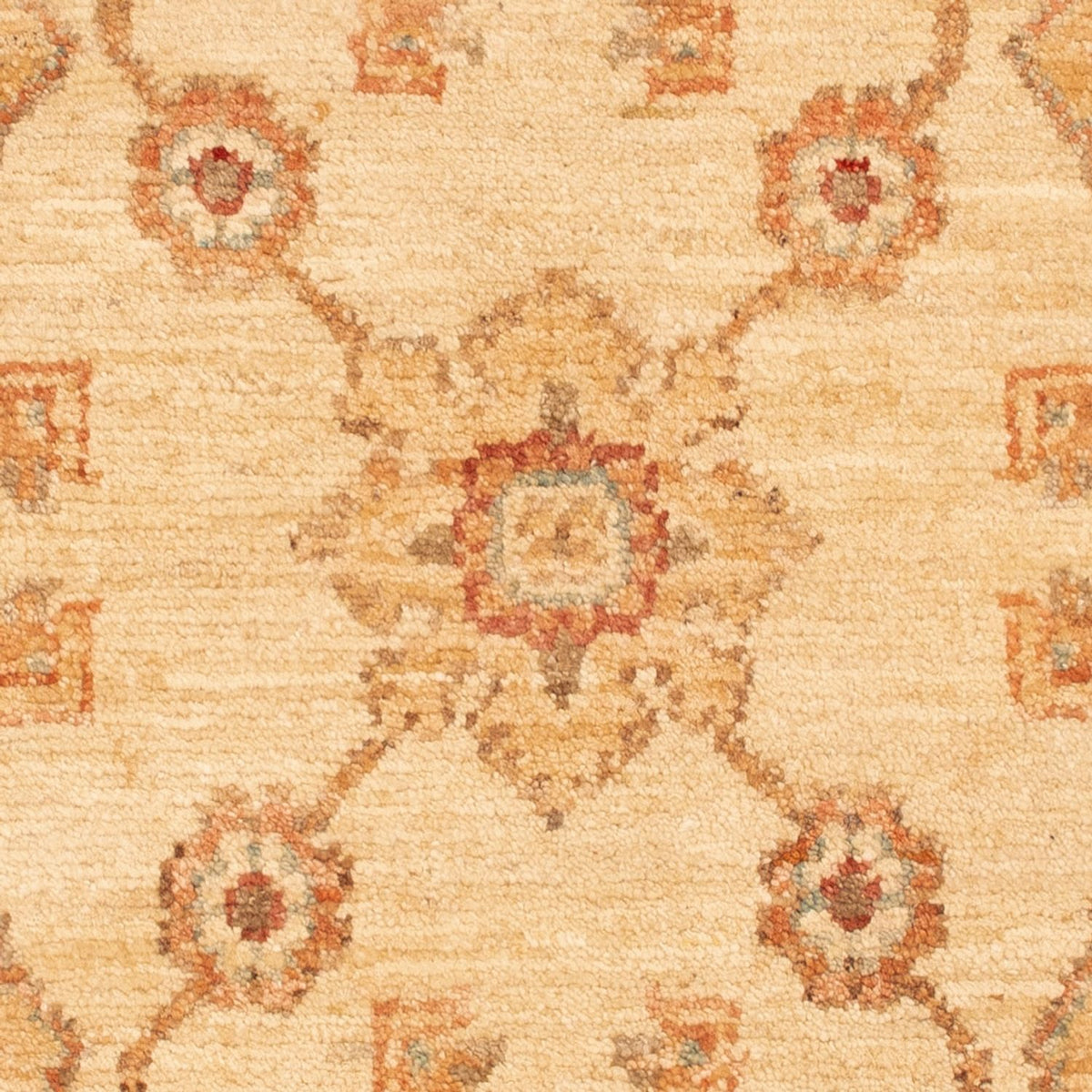 Ziegler tapijt - 91 x 60 cm - beige